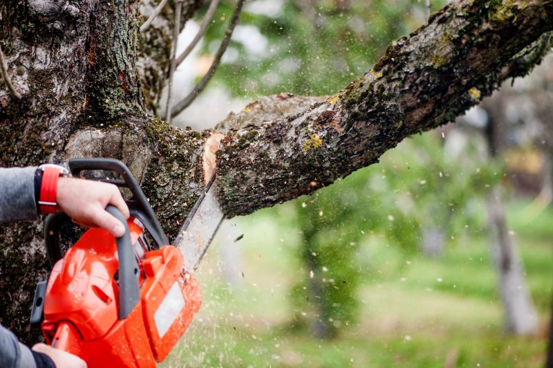 Apple Tree Removal in Allentown, PA