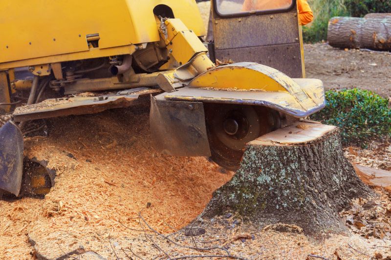 Bush Stump Grinding in Aiken, SC