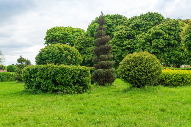 Landscape Pruning Service in Rockwall, TX