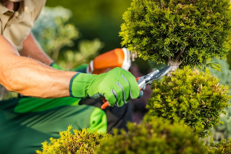 Landscape Trimming Service in Ventura County, CA