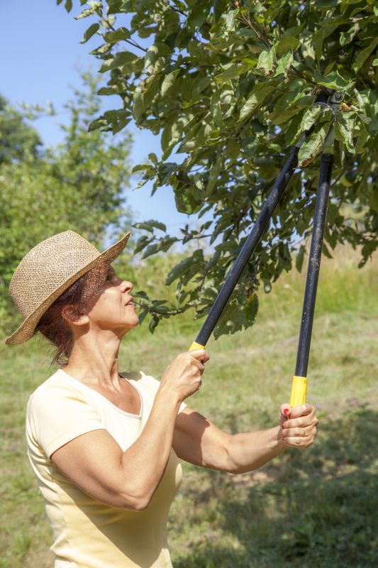 Orchard Maintenance Costs — Cost of Orchard Maintenance