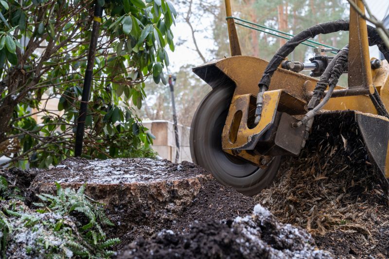 Stump Cutting in Waldorf, MD