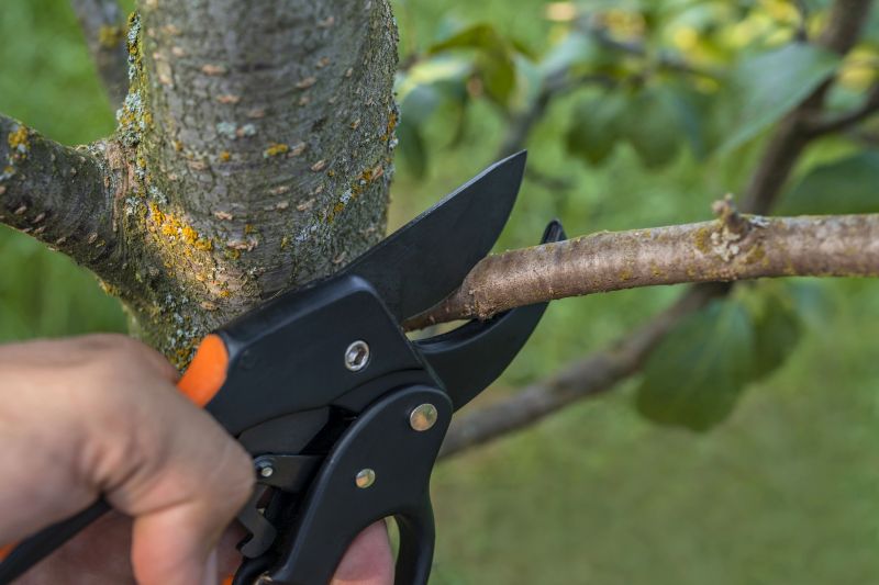 Tree Removal Service in Bucks County, PA