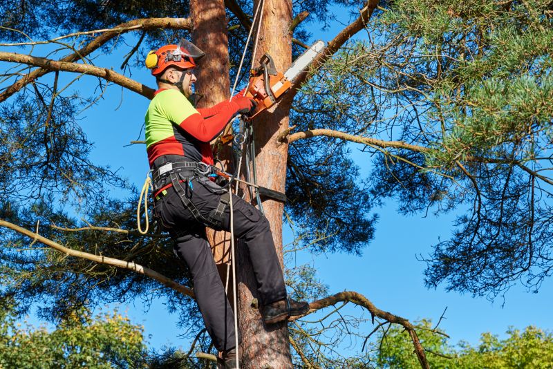 Tree Service in Pottstown, PA